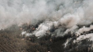 Трагедия в “Семей орманы“: может ли повториться масштабный пожар, ответили в МЧС и Минэкологии