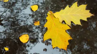 Резкое похолодание и дождь принесёт циклон в Казахстан