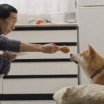 Казахстанец Мырзахан Жумахан стал победителем Astana AI Film Festival